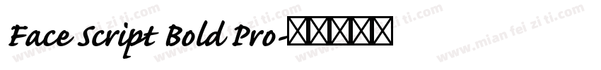 Face Script Bold Pro字体转换